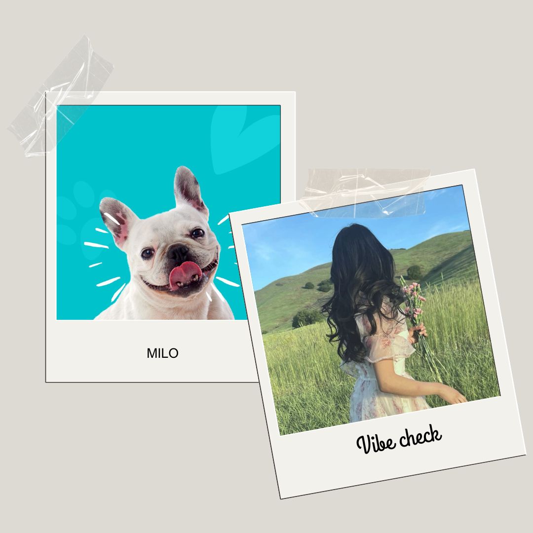 Polaroid Photo Prints